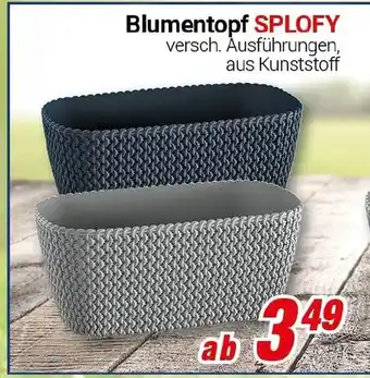 CENTERSHOP Blumentopf SPLOFY Angebot