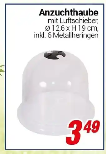 CENTERSHOP Anzuchthaube Angebot