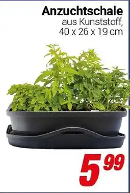 CENTERSHOP Anzuchtschale Angebot