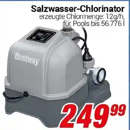 CENTERSHOP Salzwasser-Chlorinator Angebot