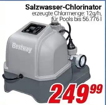 CENTERSHOP Salzwasser-Chlorinator Angebot
