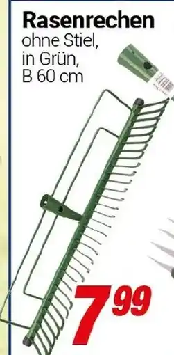 CENTERSHOP Rasenrechen Angebot