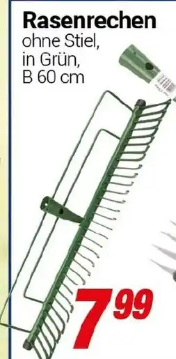 CENTERSHOP Rasenrechen Angebot
