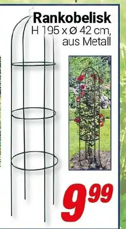 CENTERSHOP Rankobelisk Angebot
