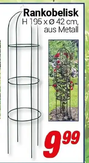 CENTERSHOP Rankobelisk Angebot