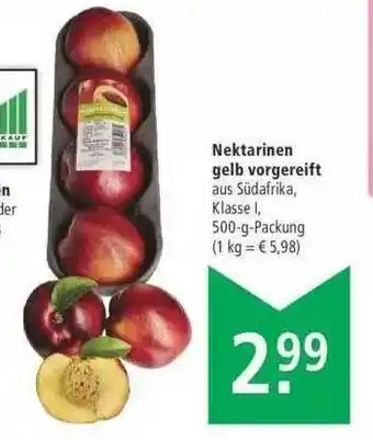 Marktkauf Nektarinen Gelb Vorgereift Angebot