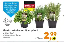 Globus Baumarkt Gewürzkräuter zur Spargelzeit Angebot