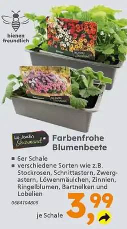 Globus Baumarkt Farbenfrohe Blumenbeete Angebot