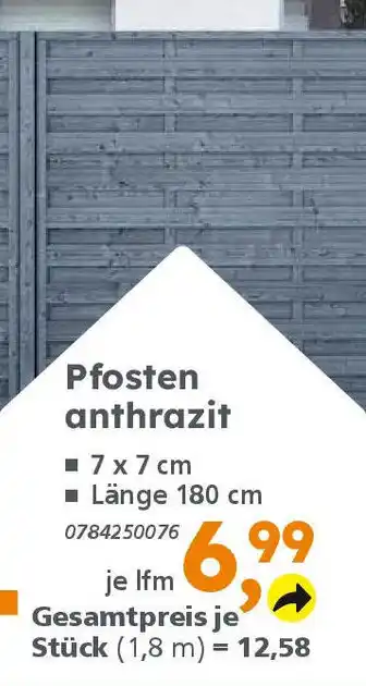 Globus Baumarkt Pfosten anthrazit Angebot