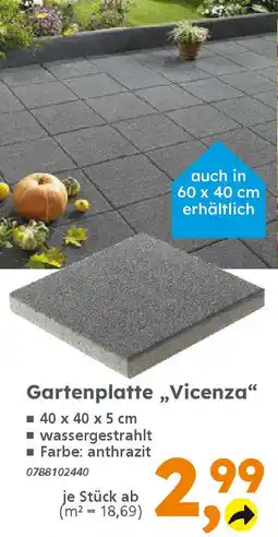 Globus Baumarkt Gartenplatte,,Vicenza" Angebot