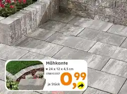 Globus Baumarkt Mähkante Angebot