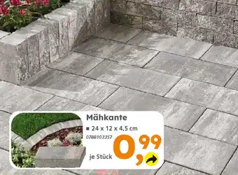 Globus Baumarkt Mähkante Angebot