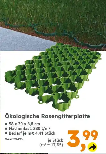 Globus Baumarkt Ökologische Rasengitterplatte Angebot