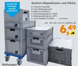 Globus Baumarkt System-Stapelboxen und Körbe Angebot