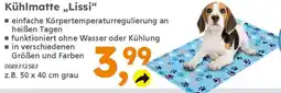 Globus Baumarkt Kühlmatte,,Lissi❝ Angebot