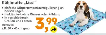 Globus Baumarkt Kühlmatte,,Lissi❝ Angebot