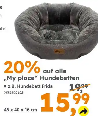 Globus Baumarkt ,,My place" Hundebetten Angebot