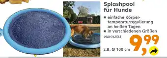 Globus Baumarkt Splashpool für Hunde Angebot