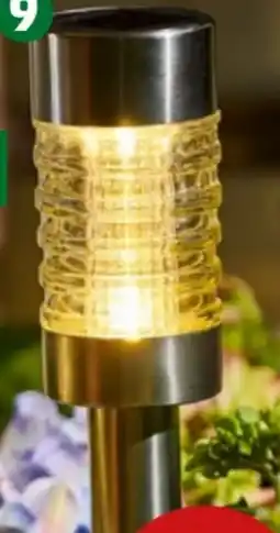 PENNY Solargartenstecker Angebot