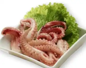 Scheck-in-Center Pulpo Tentakel Italia Angebot