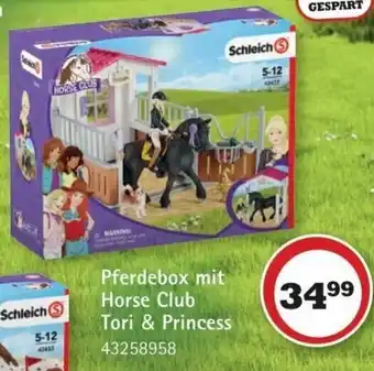 Vedes Schleich Pferdebox mit Horse Club Tori+Princess Angebot