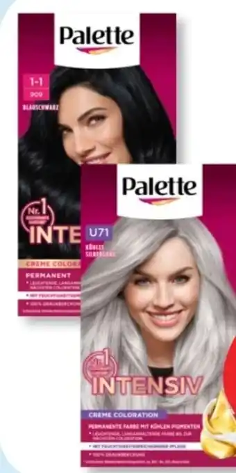 Budni Palette Intensive-Creme-Coloration Angebot