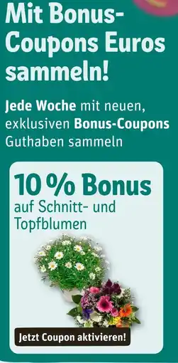 nahkauf Mit bonus-coupons euros sammeln! Angebot