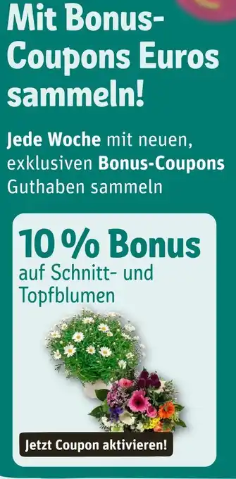 nahkauf Mit bonus-coupons euros sammeln! Angebot