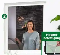 PENNY Culex fensterfliegengitter mit magnetverschluss Angebot