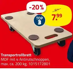 ROLLER Transportrollbrett Angebot