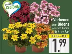 Edeka Verbenen oder bidens Angebot