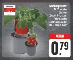Edeka Franken gemüsepflanze z.b. tomate, gurke, zucchini, u.a Angebot