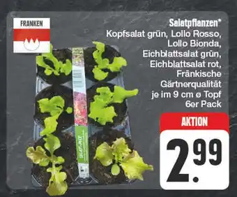 Edeka Franken salatpflanzen Angebot