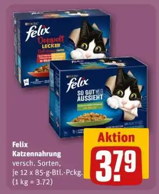 REWE felix Katzennahrung Angebot