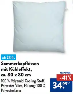 Aldi Süd Biberna Sommerkopfkissen mit Kühleffekt Angebot