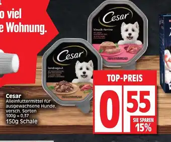 Edeka Cesar 150g Angebot