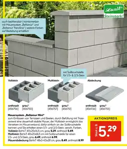Hellweg Mauersystem „bellamur mini“ Angebot