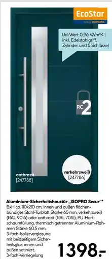 Hellweg Ecostar aluminium-sicherheitshaustür isopro secur Angebot
