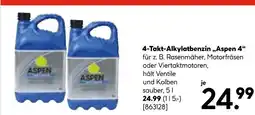 Hellweg 4-takt-alkylatbenzin „aspen 4“ Angebot