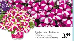 Hellweg Amore petunien – amore-sondersorten Angebot