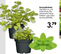 Hellweg Gourmetkräuter Angebot