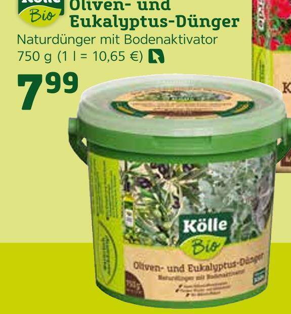 Klle bio oliven- und eukalyptus-dnger Angebot bei Pflanzen Klle