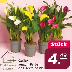 NETTO Calla Angebot
