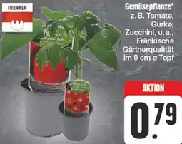Edeka Gemüsepflanze Angebot