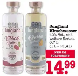 E-Center Jungland Kirschwasser Angebot