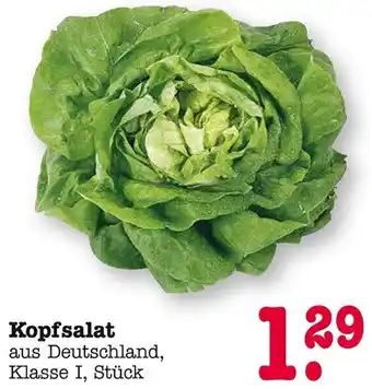 E-Center Kopfsalat Angebot