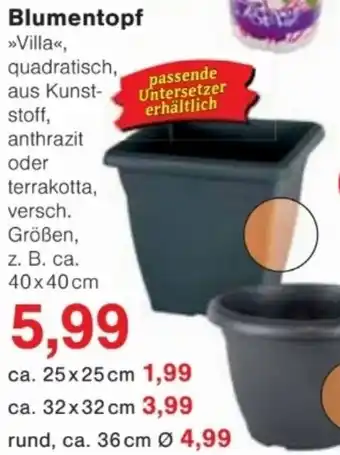 Jawoll Blumentopf Angebot