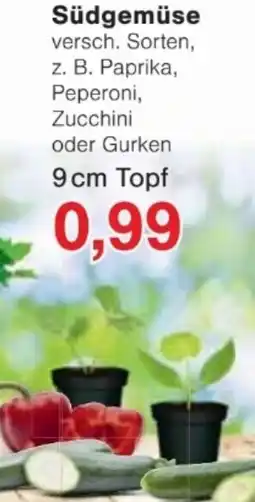 Jawoll Südgemüse Angebot