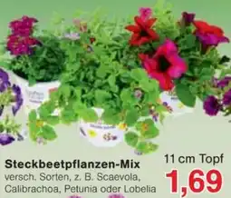 Jawoll Steckbeetpflanzen-Mix Angebot