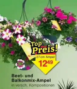 Jawoll Beet- und Balkonmix-Ampel Angebot